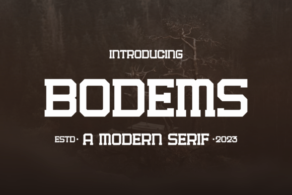 Bodems: A Versatile Typeface for Digital Design