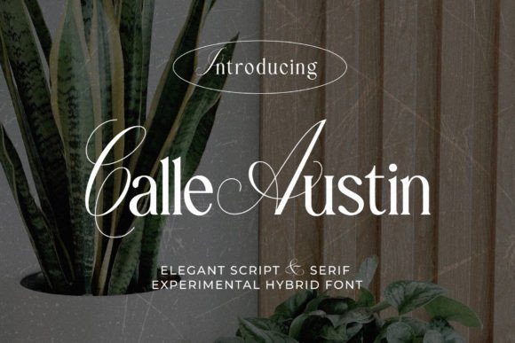 Calle Austin: A Premium Typeface for Polished Branding