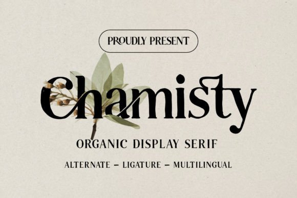 Chamisty: The Font That Elevates Your Brand’s Design