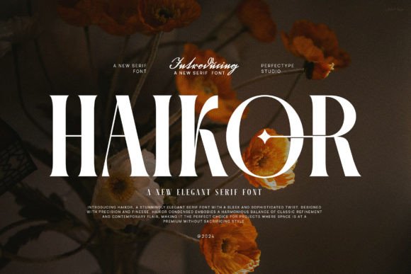 Haikor Font Review: A Sophisticated Serif for Creative Branding