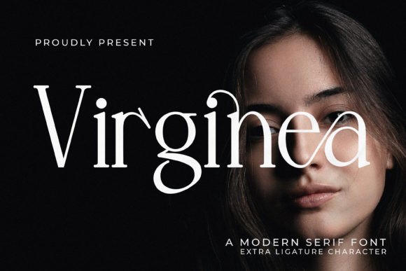 Virginea Font: A Designer’s Choice for Polished Web Typography
